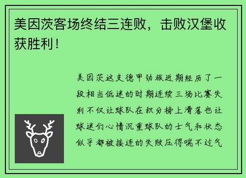 美因茨客场终结三连败，击败汉堡收获胜利！